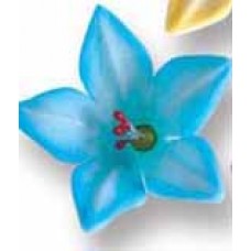 Lilly blue